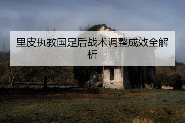里皮执教国足后战术调整成效全解析