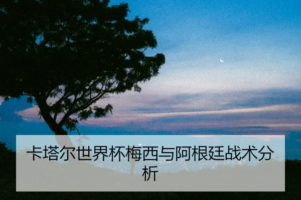 ka-ta-er-shi-jie-bei-mei-xi-yu-a-gen-ting-zhan-shu-fen-xi-2-705.jpg